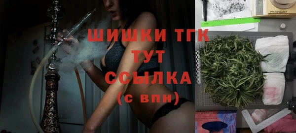 гидра Армянск