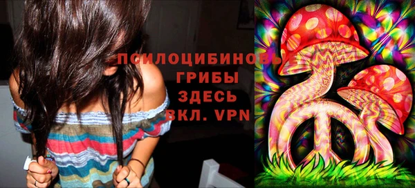 гидра Армянск