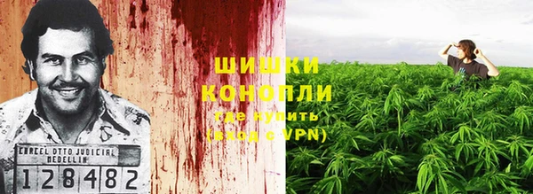 экстази Арсеньев