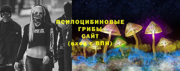 гидра Армянск
