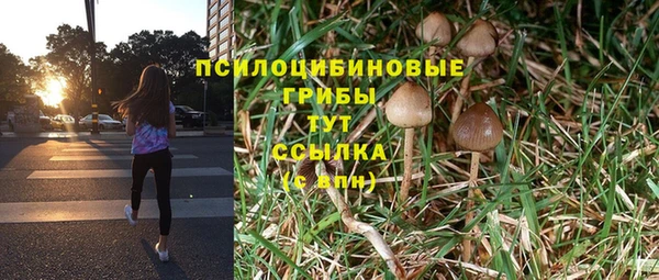 экстази Арсеньев