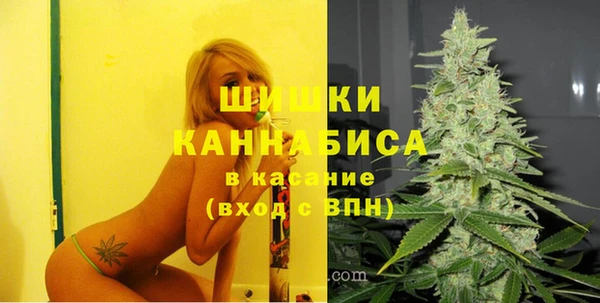 экстази Арсеньев